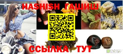 мдпв Гатчина